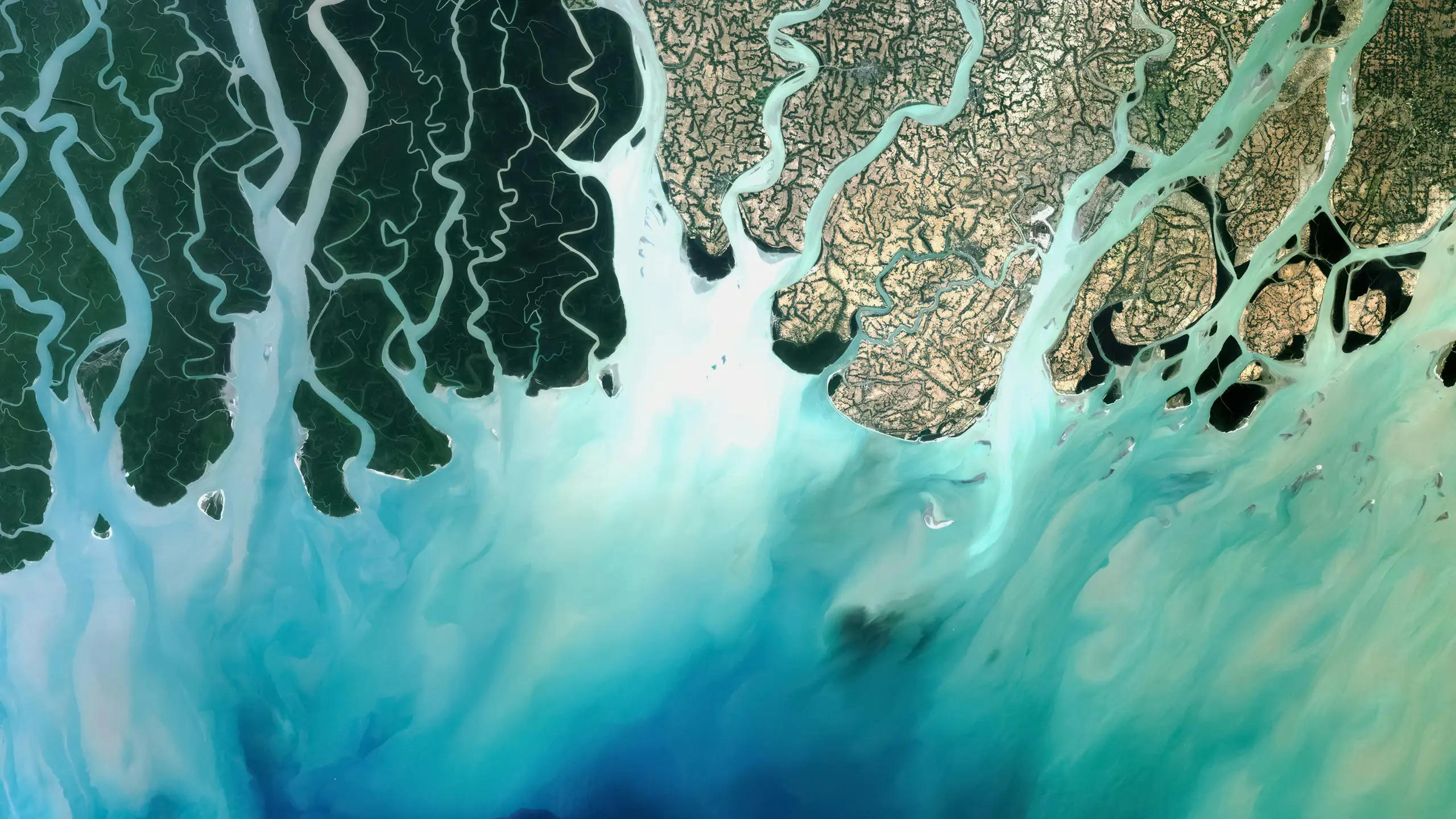 MAIA landscape background