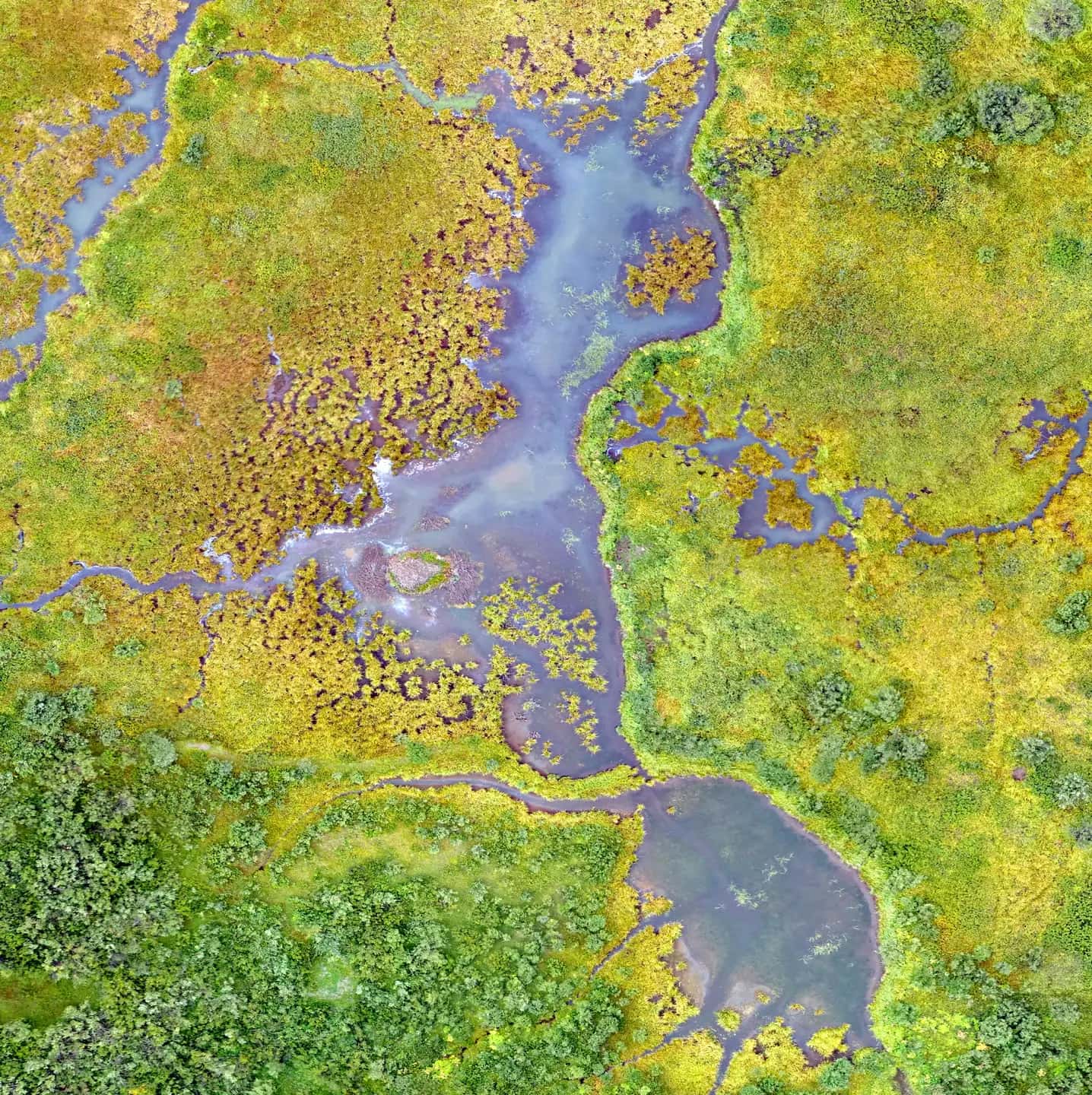 MAIA landscape background