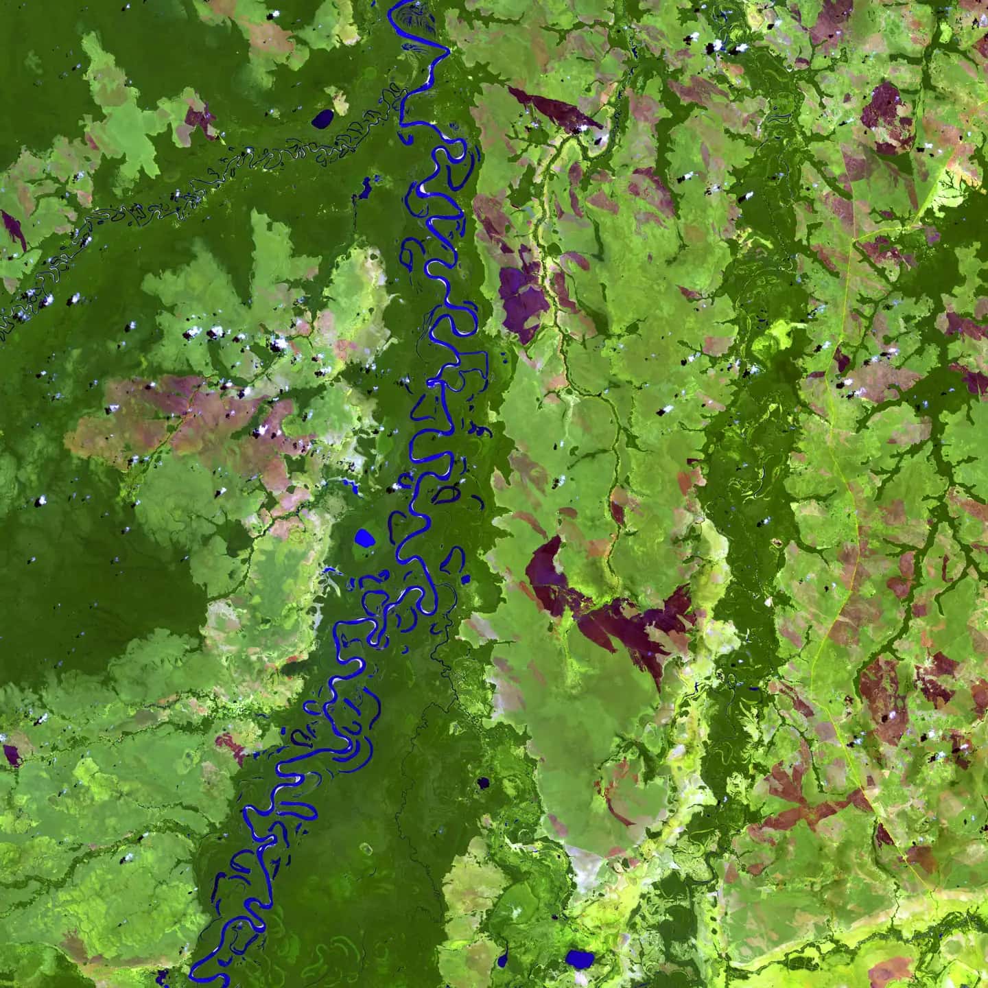 MAIA landscape background